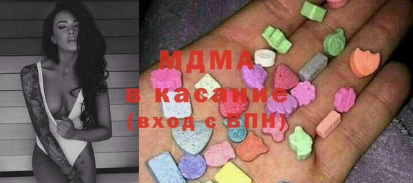 индика Володарск