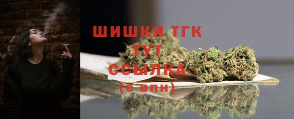 PSILOCYBIN Вязники