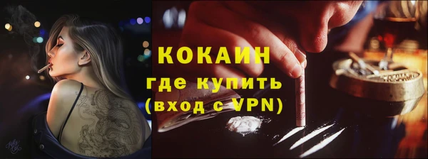 индика Володарск