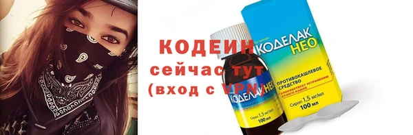 индика Володарск