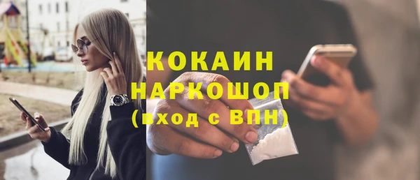 индика Володарск