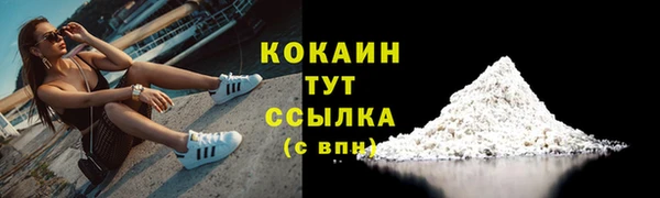 шишки Волоколамск