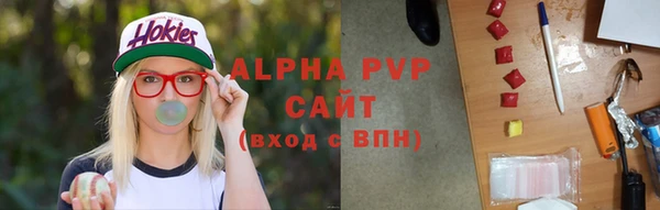 индика Володарск