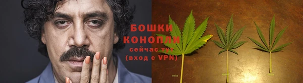 PSILOCYBIN Вязники