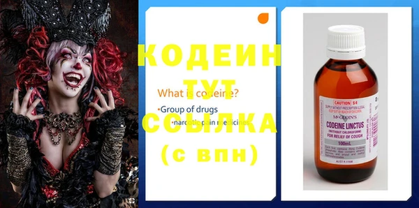индика Володарск